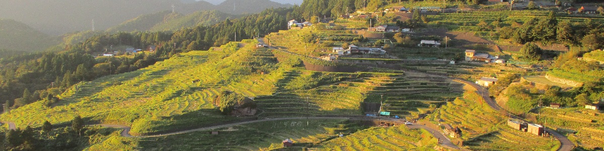 丸山千枚田(三重県熊野市紀和町丸山)